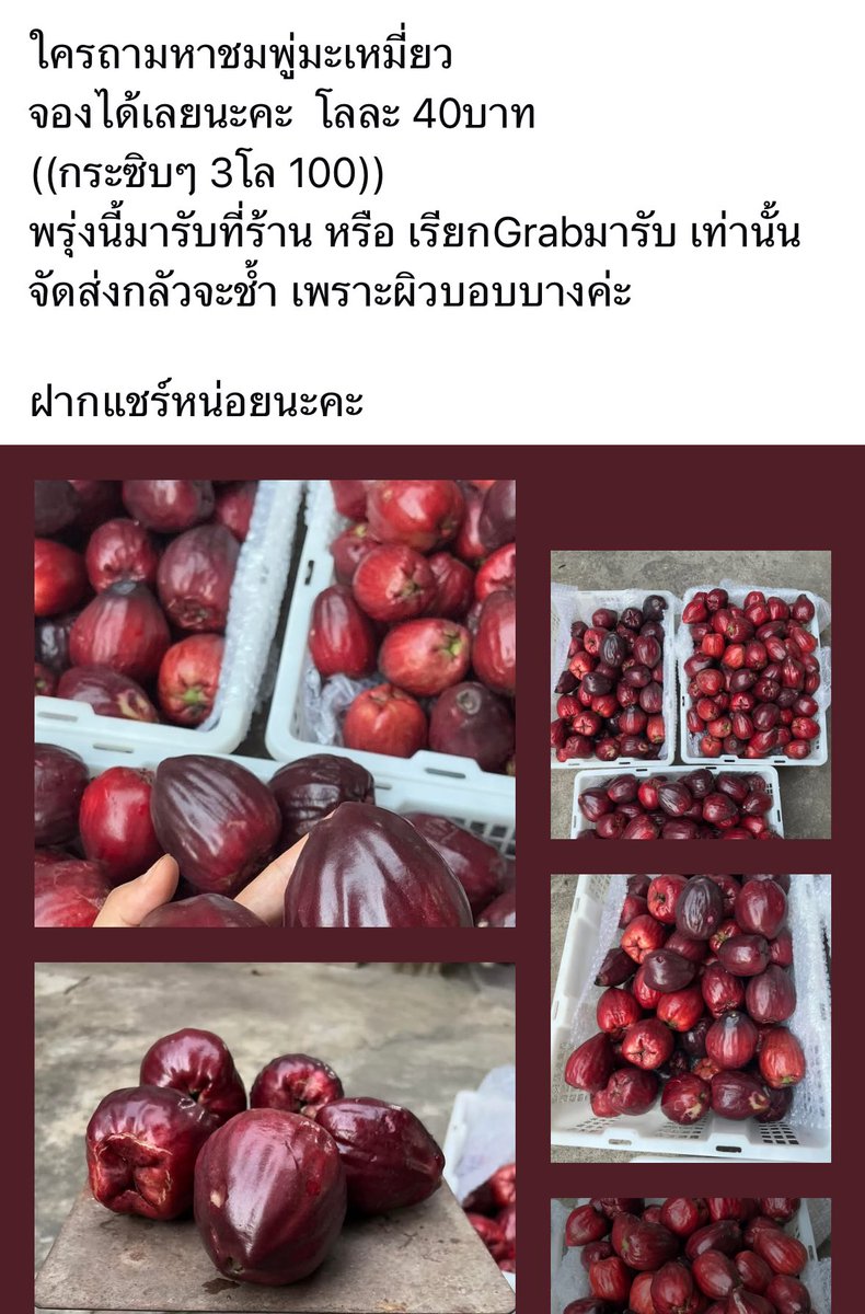 🕑🧸🦊뽀이🐶😸🐺 tweet media