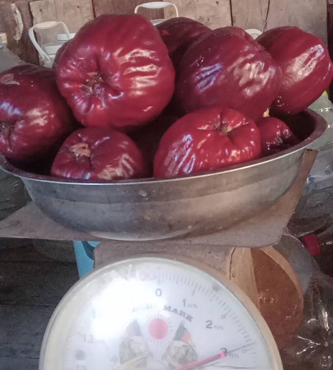 🕑🧸🦊뽀이🐶😸🐺 tweet media