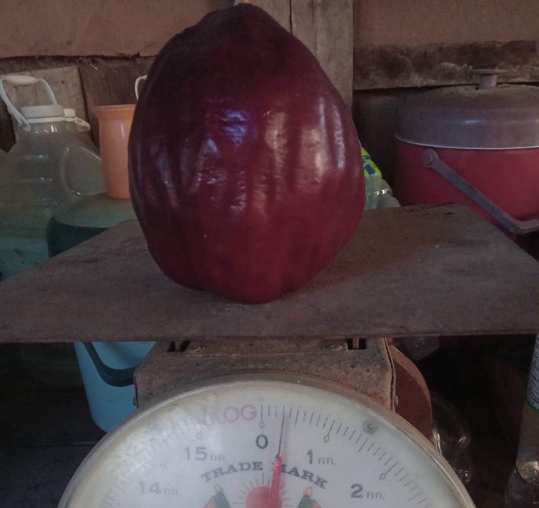 🕑🧸🦊뽀이🐶😸🐺 tweet media