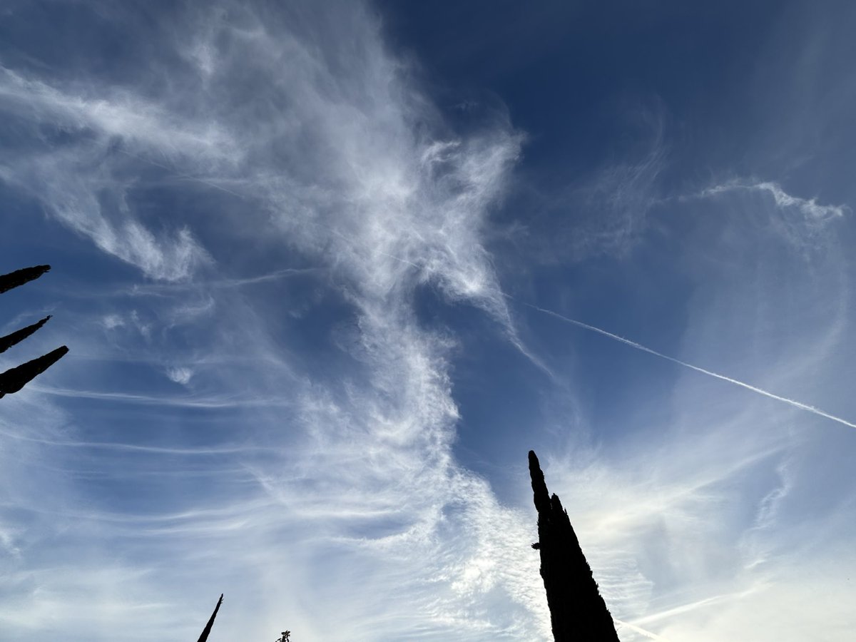 PsychoKitty tweet media