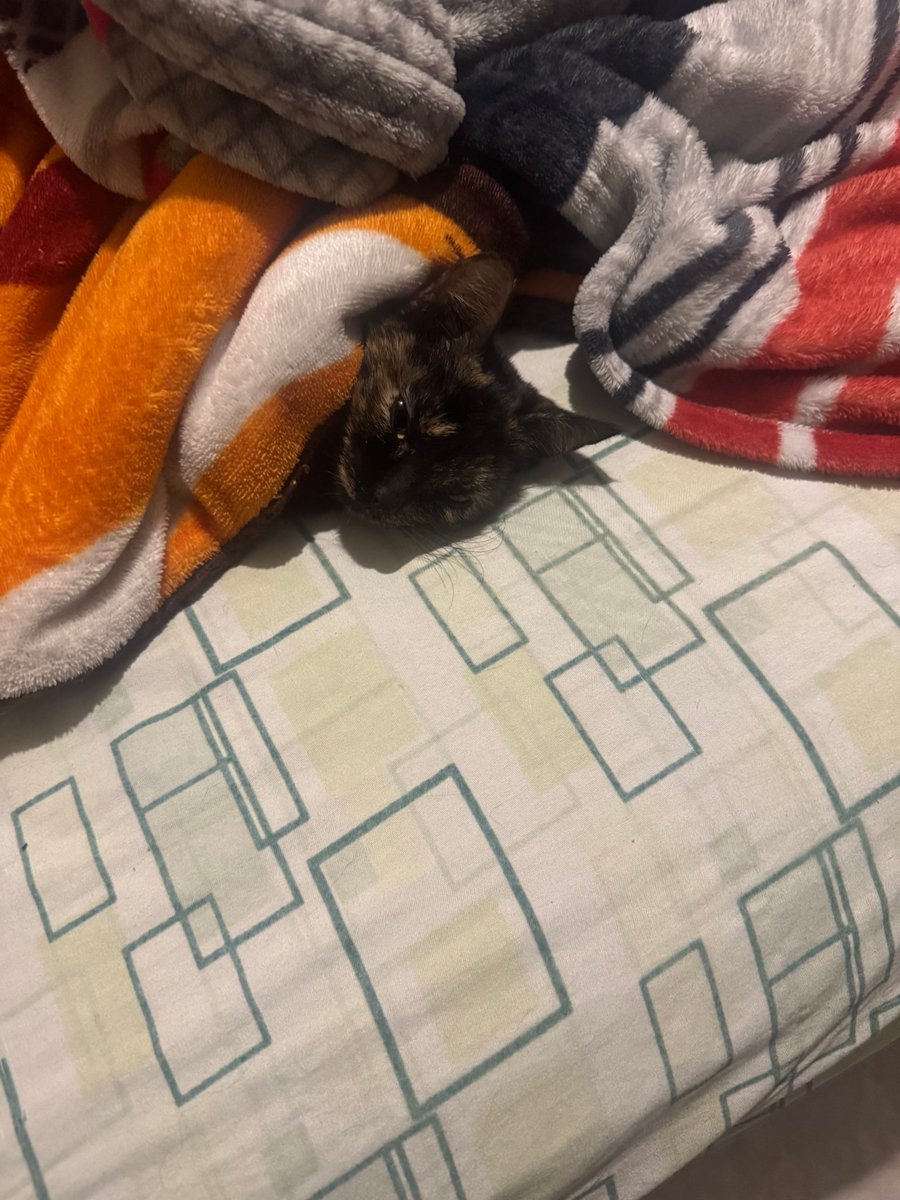 Jonatan Romero tweet media