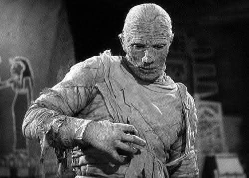 Diane Fassett tweet media