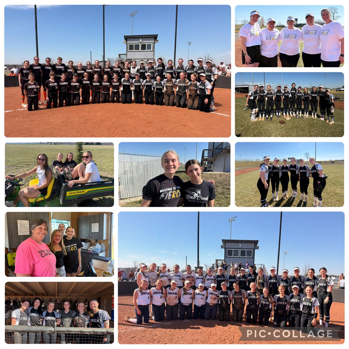 Mustang Softball tweet media