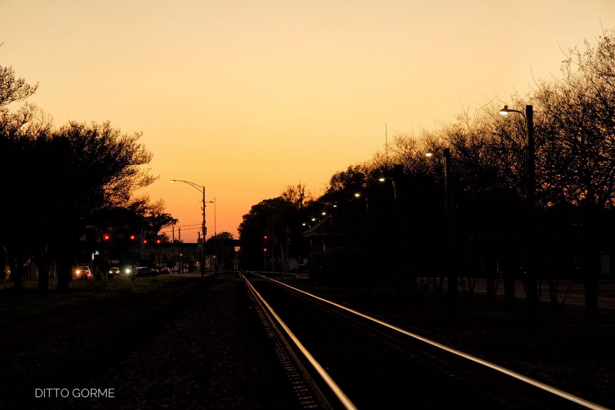 Ditto Gorme tweet media