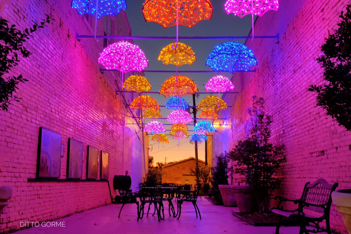 Ditto Gorme tweet media