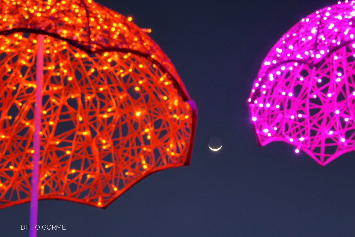 Ditto Gorme tweet media