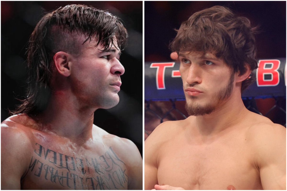 Blind Bear 🐻🕶️ tweet media