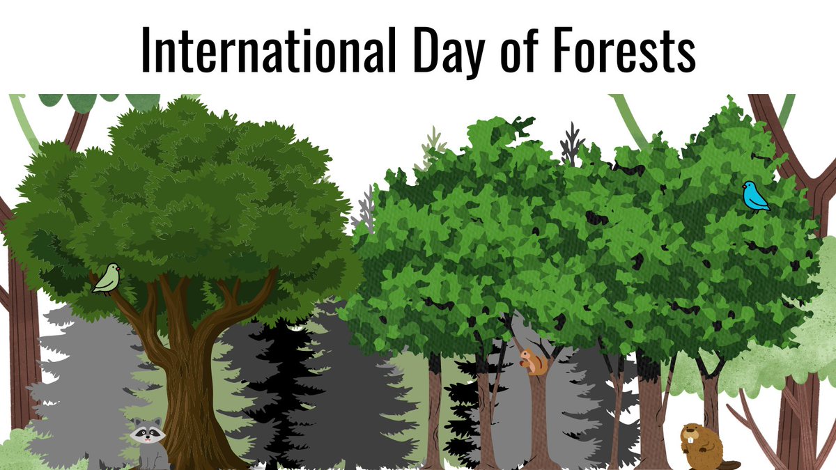 Laura Brown 🍁 tweet media