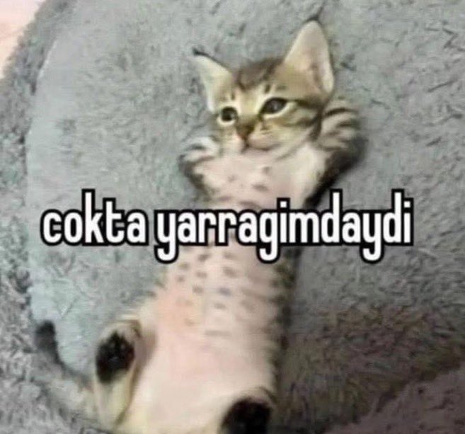 slieell's tweet photo. @whoisyusuf2 https://t.co/JHcWAqXzMC