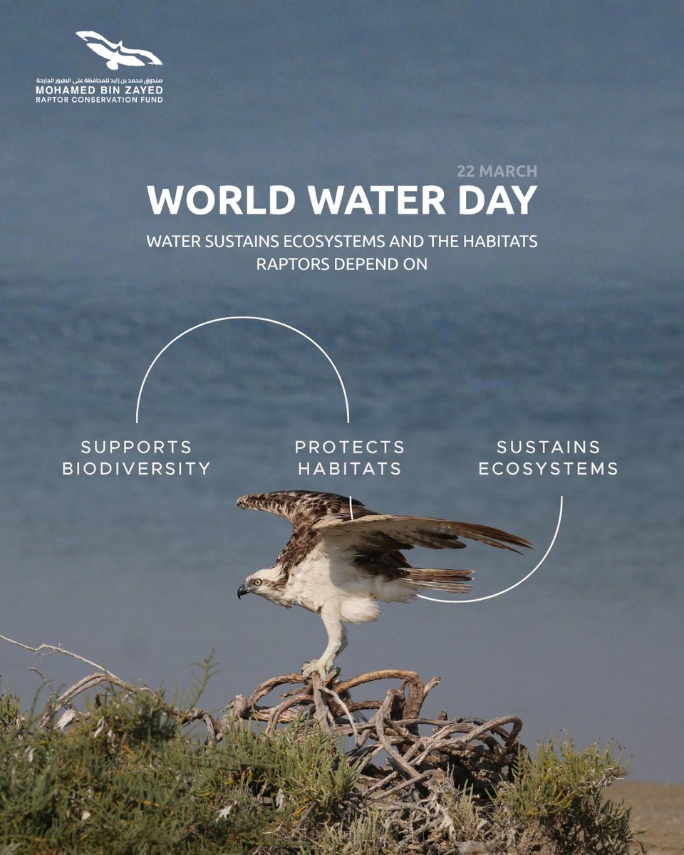 RaptorConservationFund tweet media