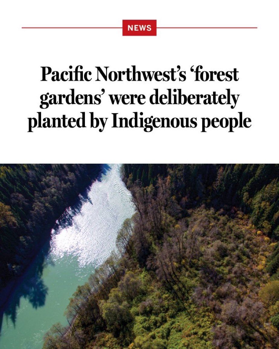 David AttenBruh tweet media