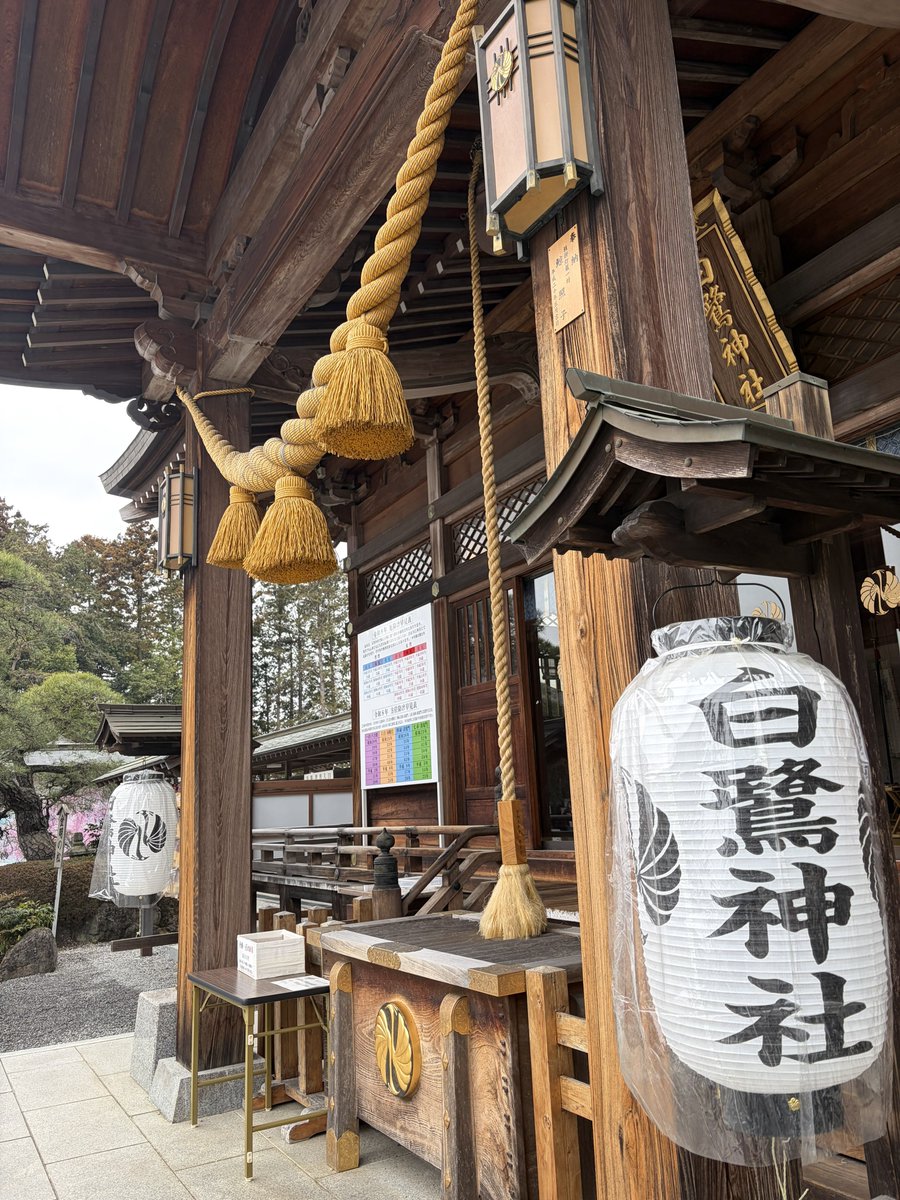 lion_goshuin's tweet photo. 栃木 白鷺神社

猫キーボードと菱餅の可愛い御朱印🫶

やっぱ猫なんすわ

 #栃木県  #河内郡 
 #白鷺神社 
 #御朱印  #御朱印巡り https://t.co/VVDUXVhVUl
