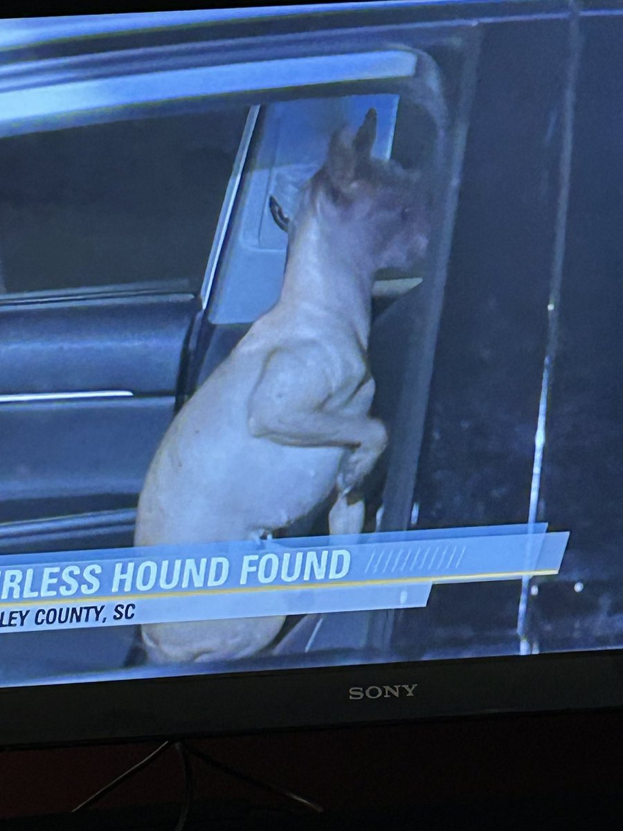 That One Guy tweet media