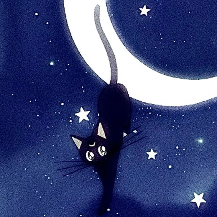 enzo ★ tweet media