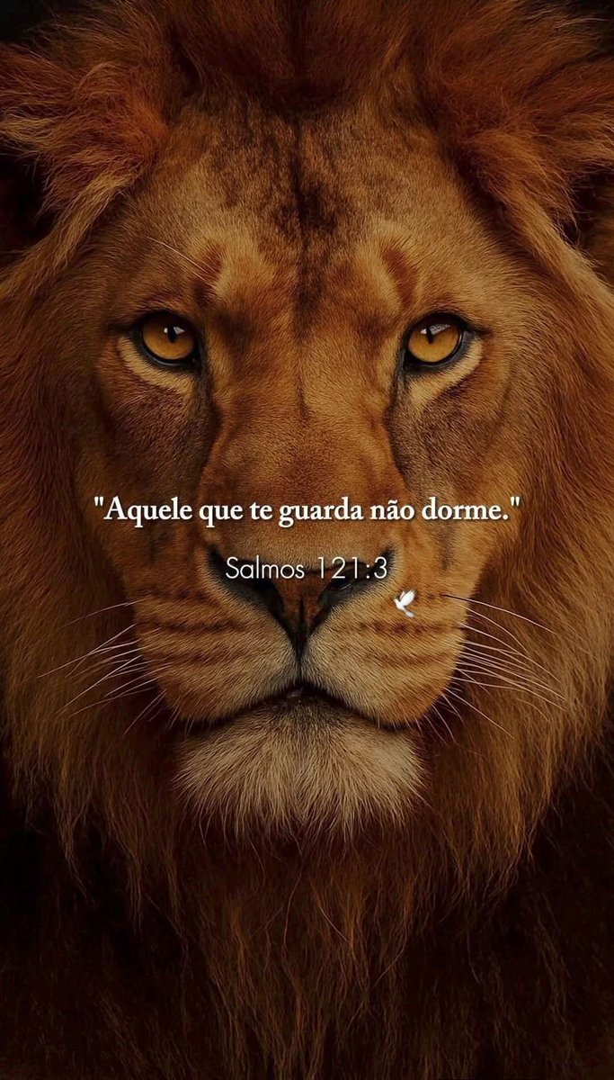 "Aquele que te guarda não dorme."
Salmos 121:3