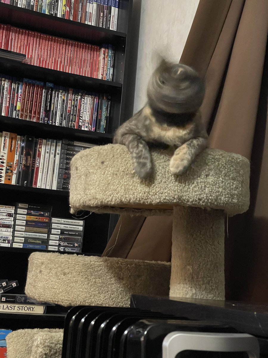 Kent Priore, Author tweet media