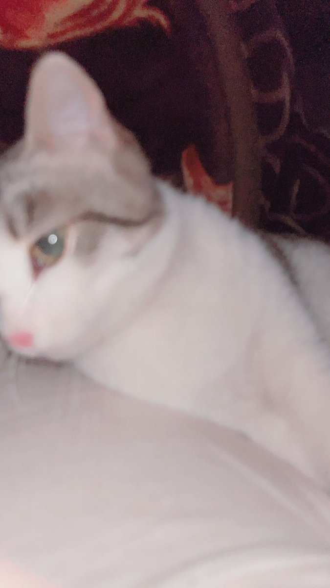 عمكم عمرو tweet media