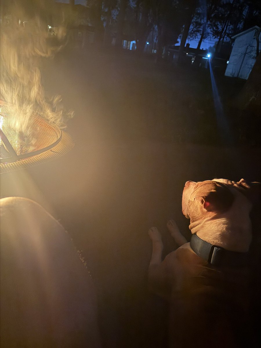 Snackiee Chann tweet media