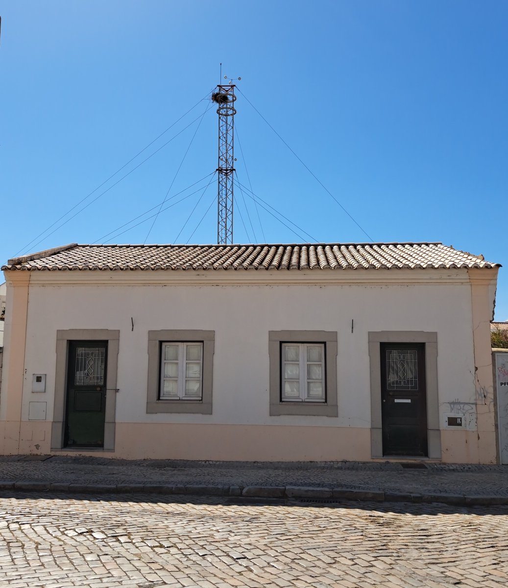 Christopher Howse tweet media