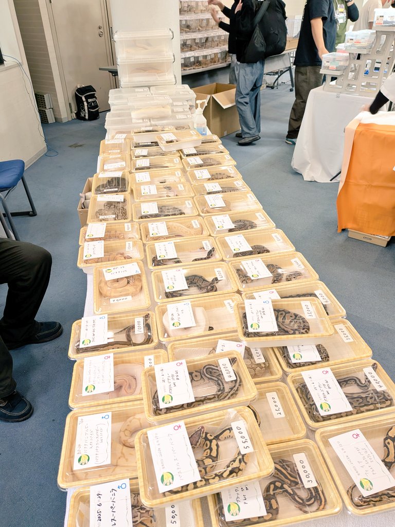 バナナ@バナナの家 tweet media