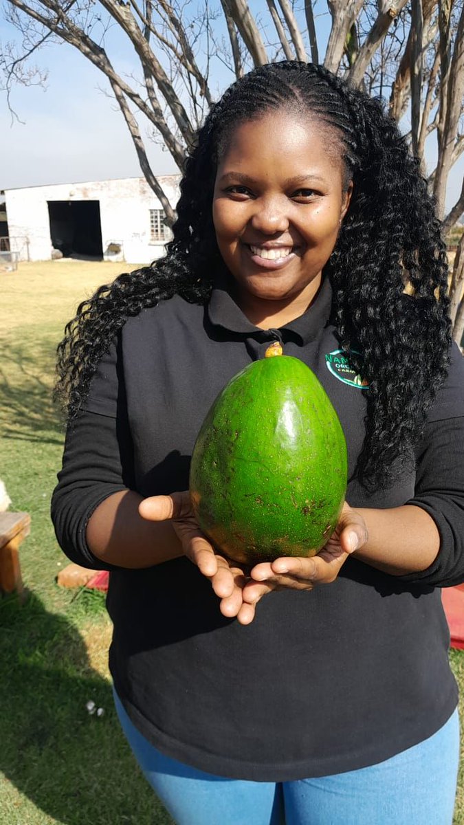 Nandi mkwanazi tweet media