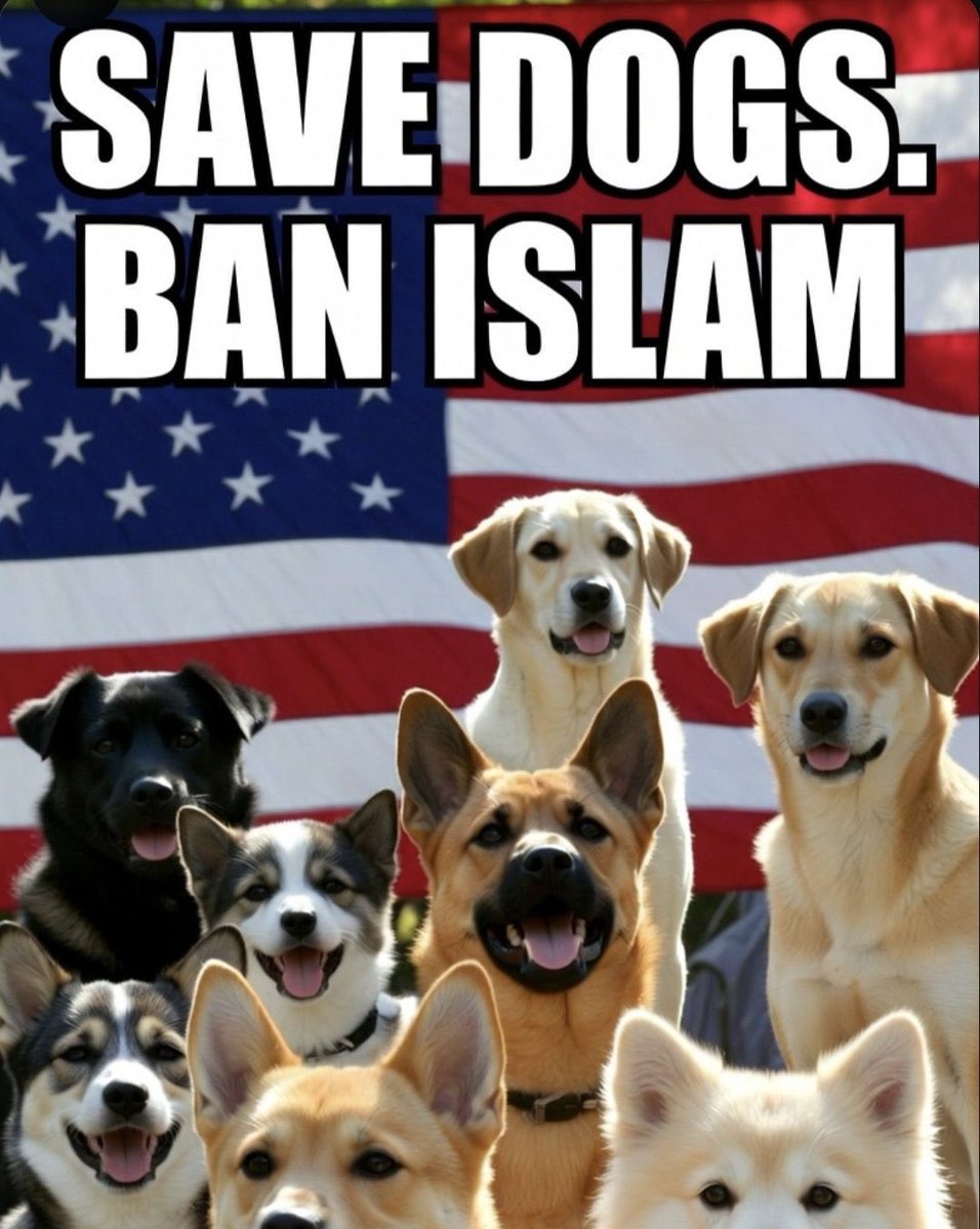 SonofLiberty357's tweet photo. @PeriklesGREAT @WimLienemann13 https://t.co/OzuzzGQlgM