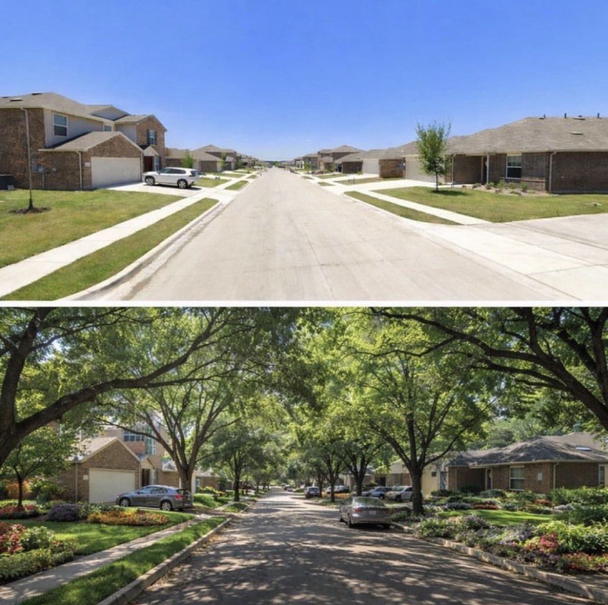 𝒜𝓃𝑔𝑒𝓁𝑅𝑒𝒹 tweet media