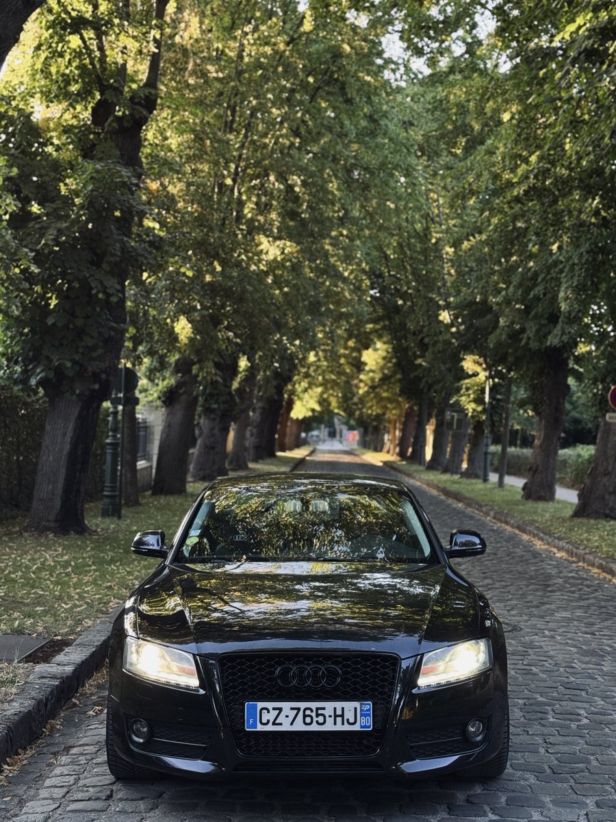 /// 🐅 tweet media