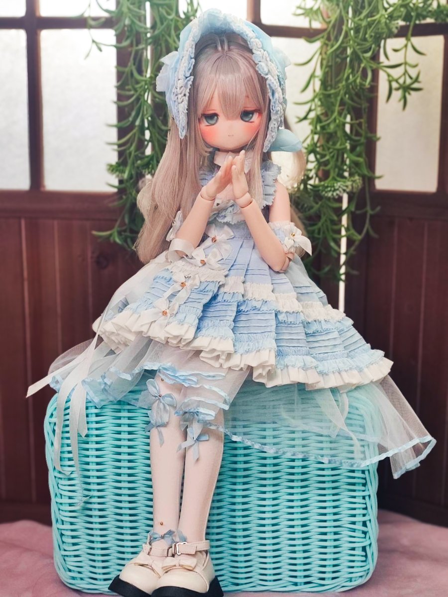 nightheron5's tweet image. Magic Cat 魔法学院的猫  さんのブルーバタフライ
なんとお衣装が籐のトランクに入って渡される
お衣装もピンタックやフリルがすごい細かくて感動する
#MagicCat