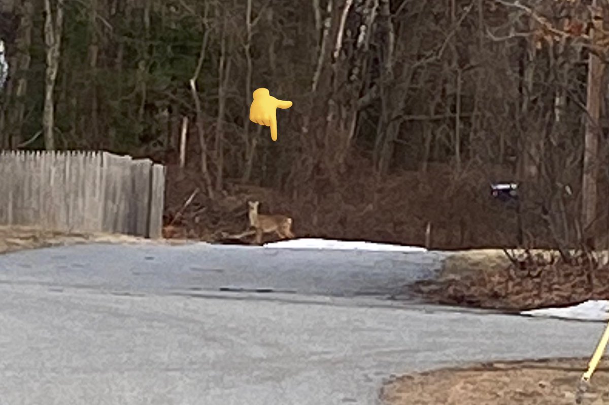 Capt. Daisy Mae tweet media