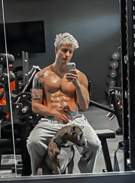 I’m f̶i̶n̶e̶ ̶ gay tweet media