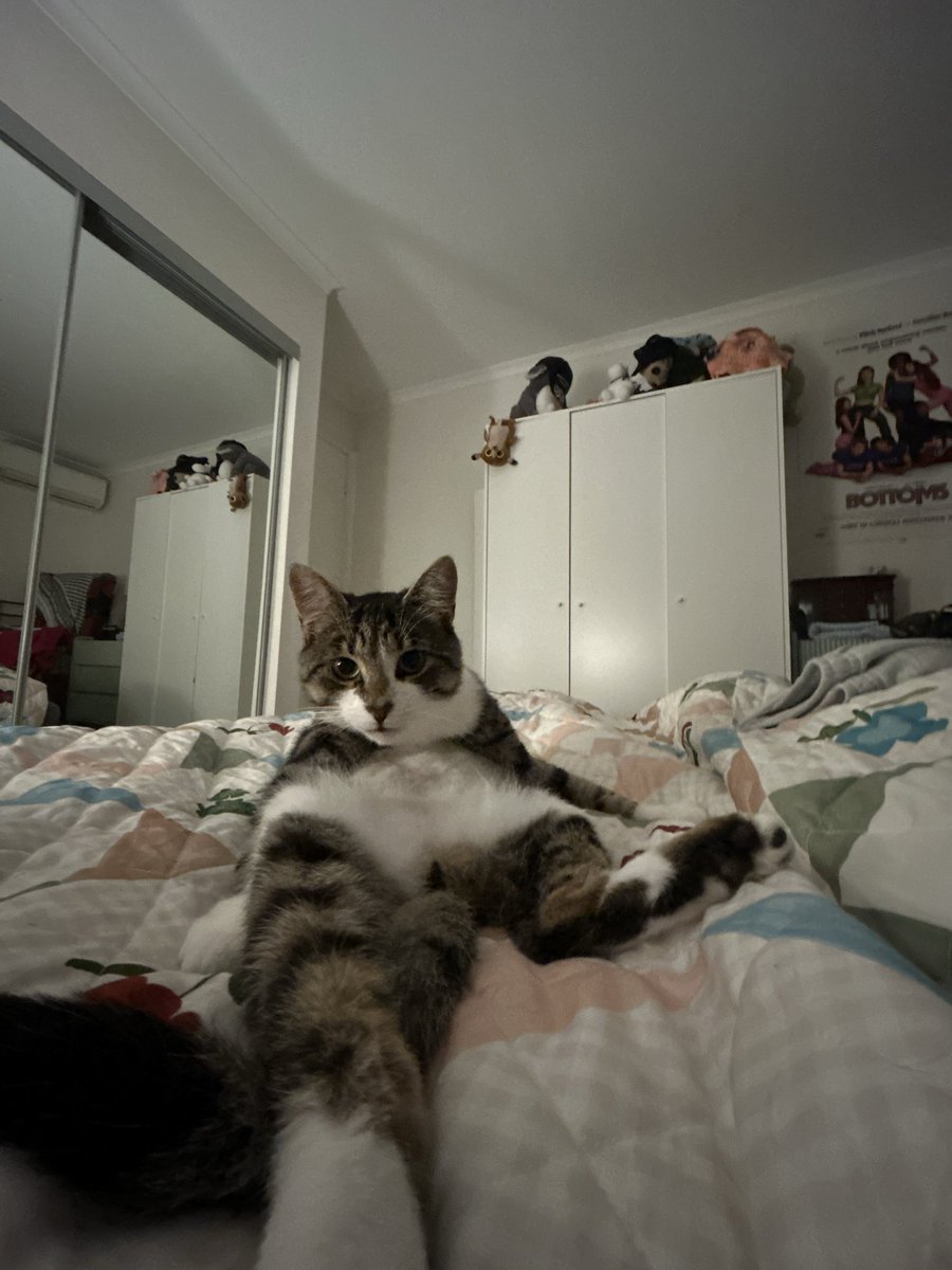 cal 🍉 tweet media