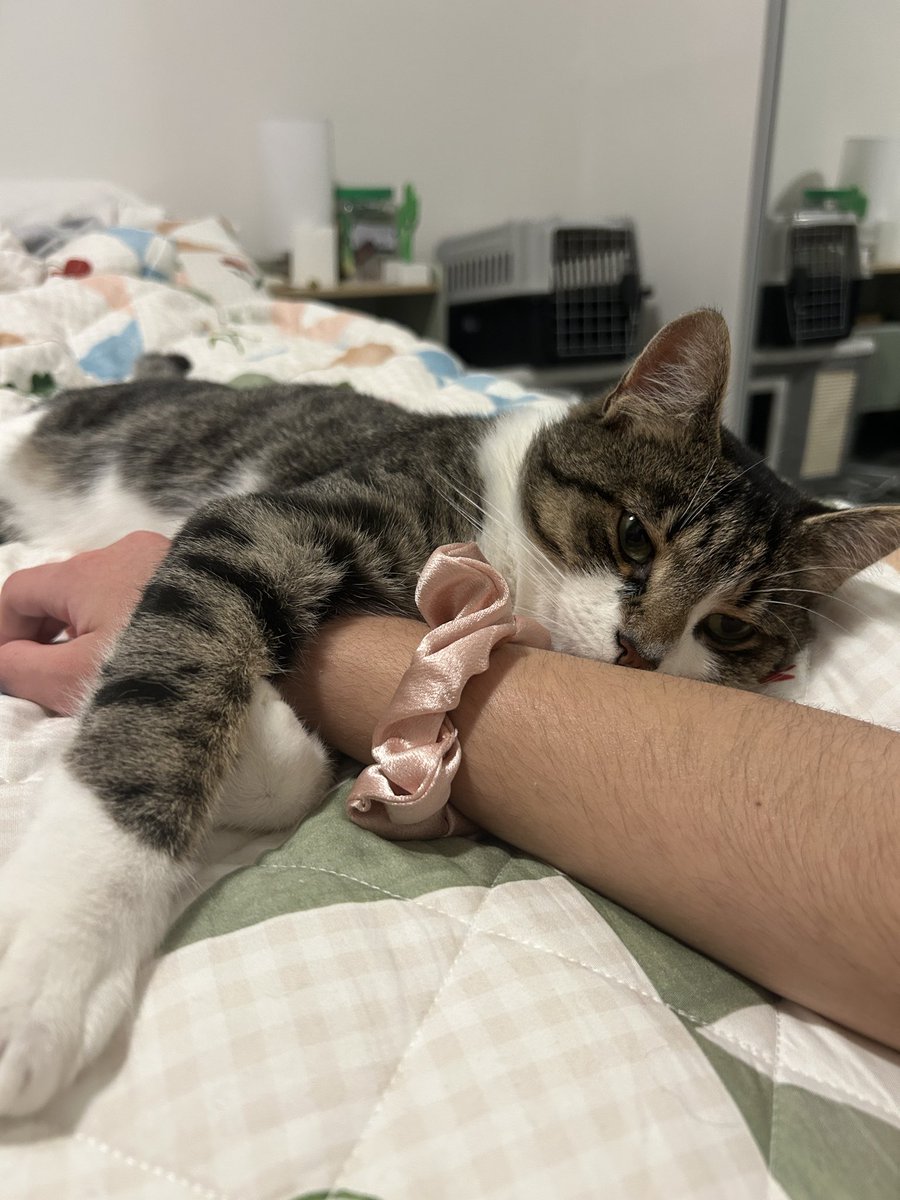 cal 🍉 tweet media