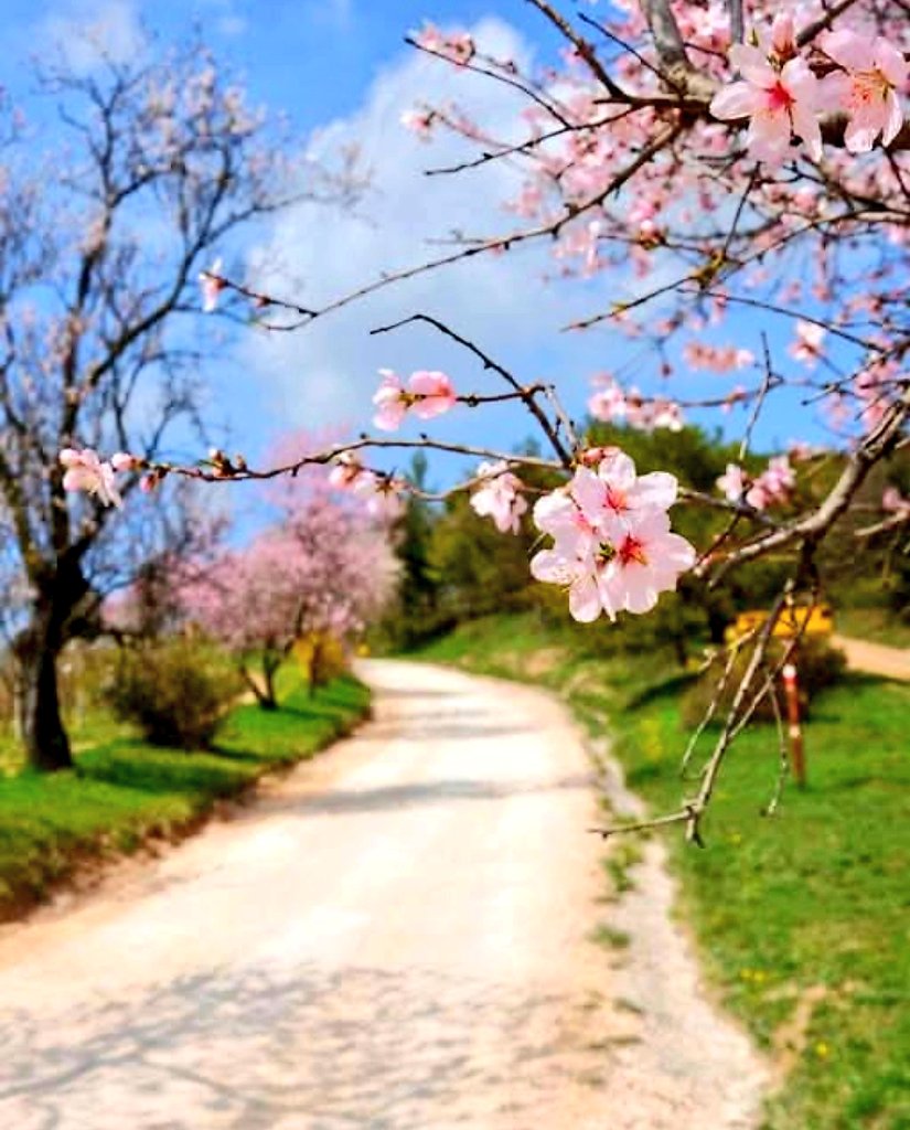 Meri☀️🐣🌸🥀🪺🐣🐾 tweet media