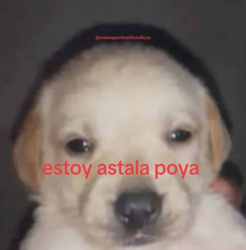 Blood Grey tweet media