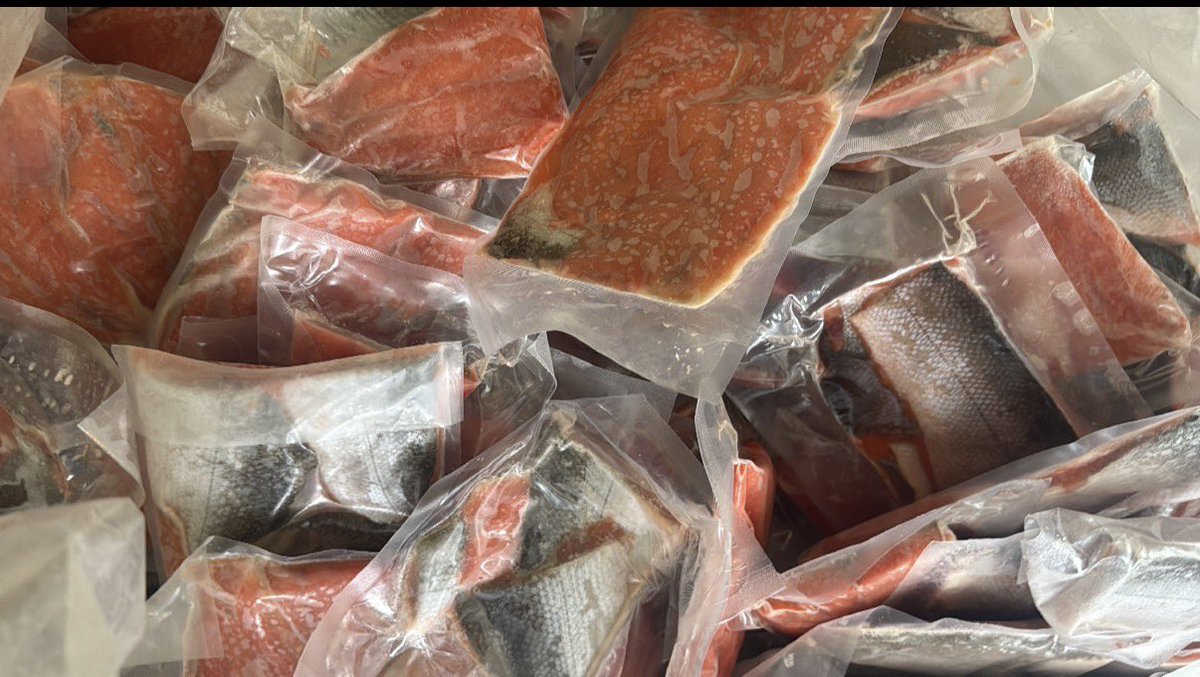 Captain_Off_Grid tweet media