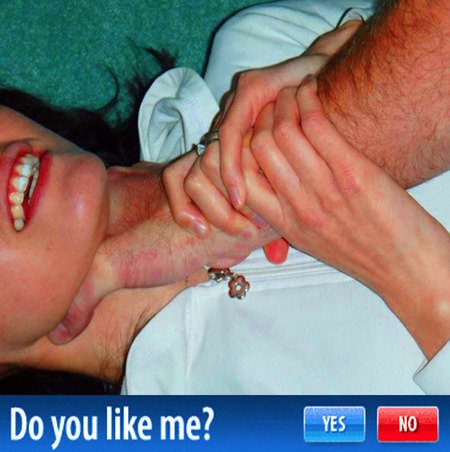 mica † tweet media