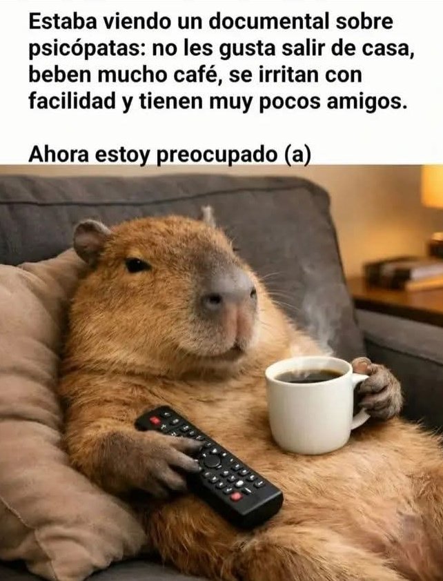 IvanaTigre#340 tweet media