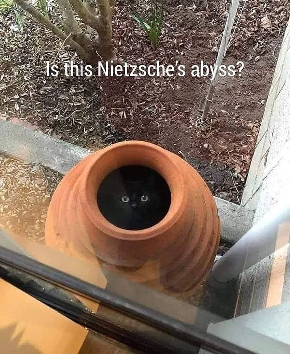 Friedrich Nietzsche Notebook tweet media