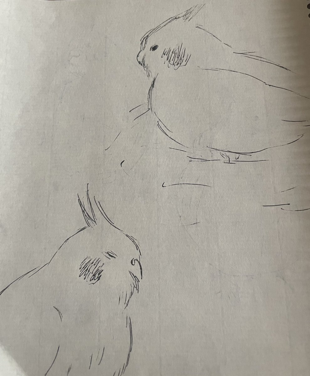 _3o00o3_'s tweet photo. うちのこがお昼寝してる隙にスケッチ✏️ https://t.co/bwbl9R8o4l