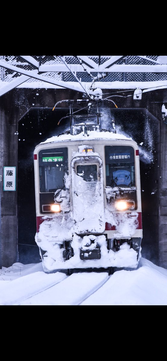 木乃下 tweet media