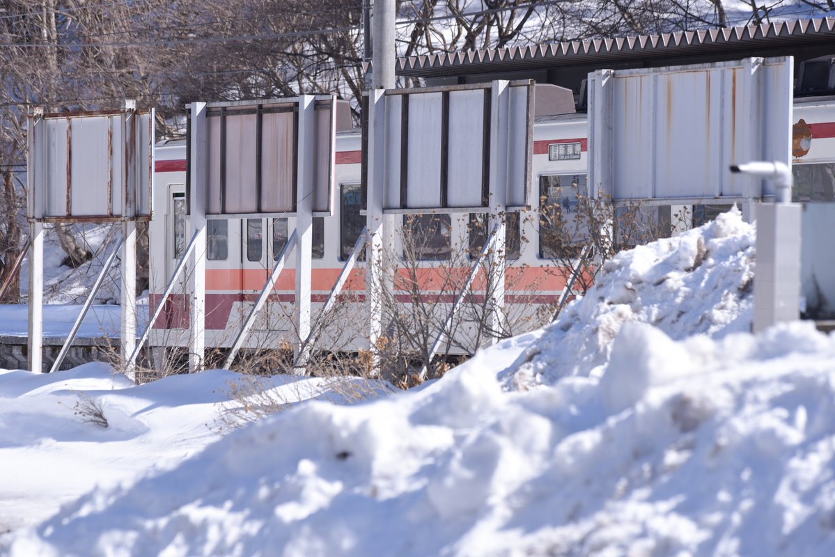 木乃下 tweet media