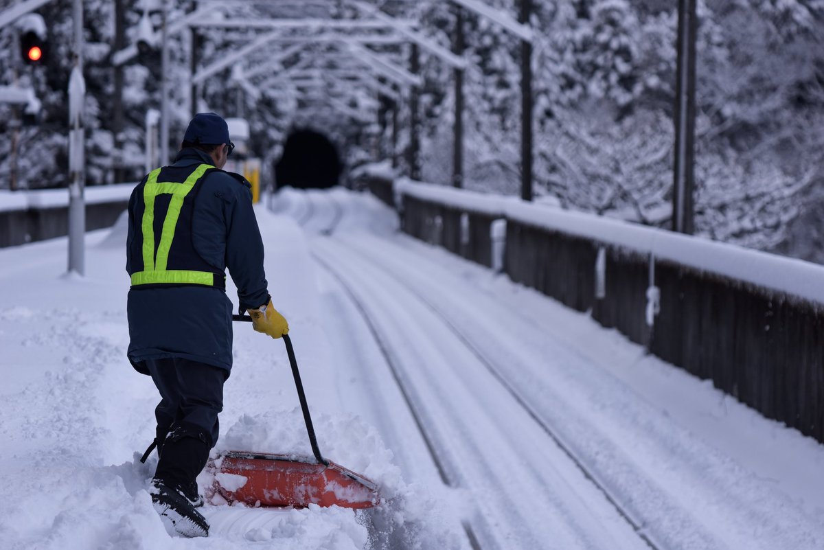 木乃下 tweet media