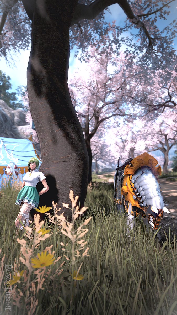 空色厩舎@SS tweet media