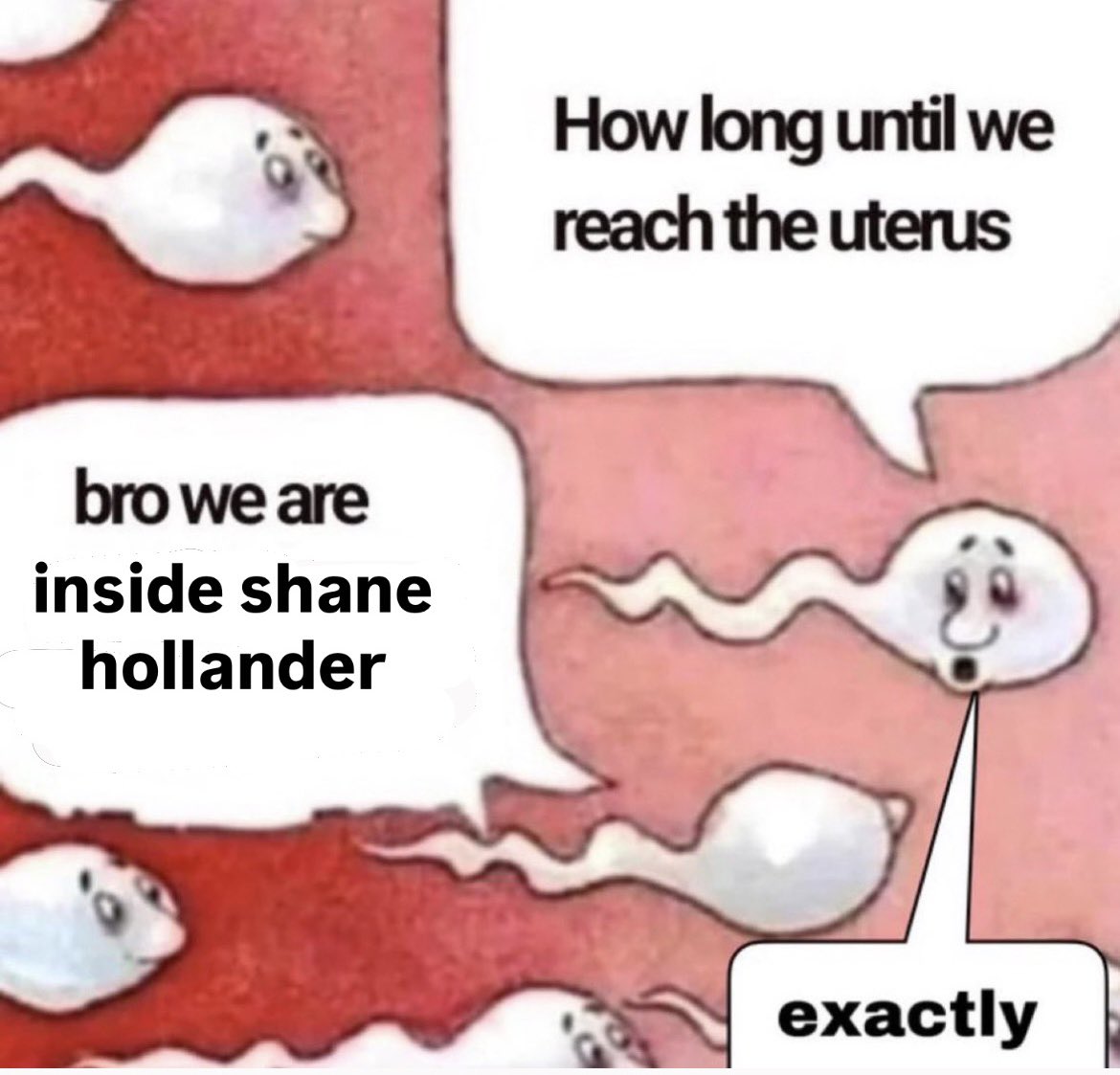 toky del totoral tweet media