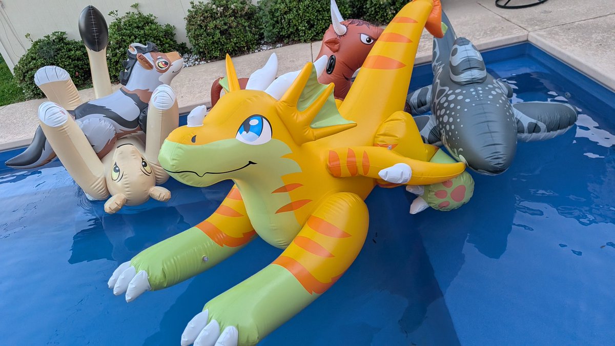 Insama 🦁/ Cozy 🐶 🔜 TFF tweet media