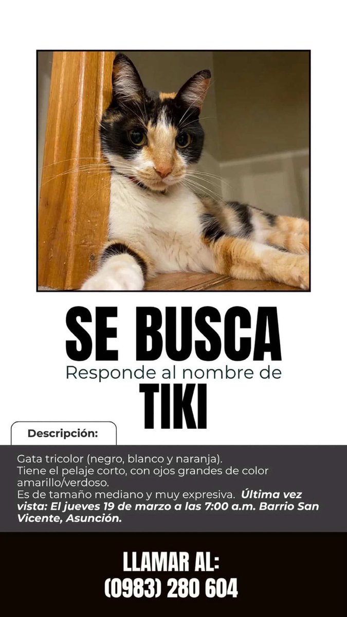 Marcando Huellas tweet media