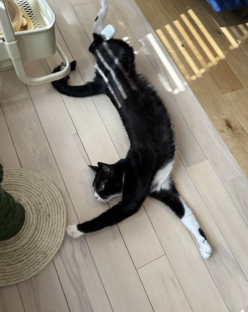 アンとミシェル Anne & Michelle tweet media