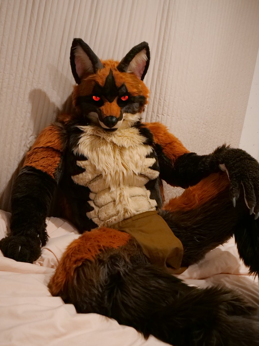 Sparrow🐦 ➡️Furstclass tweet media