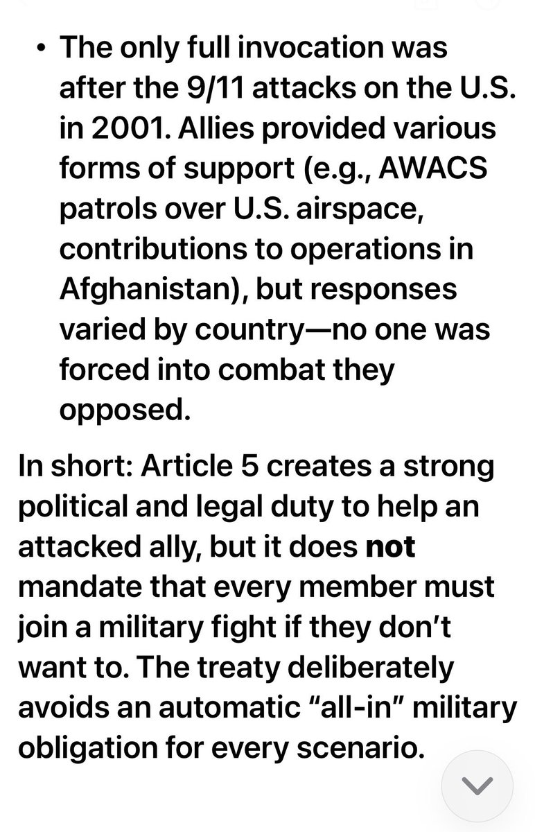 MishaSki tweet media